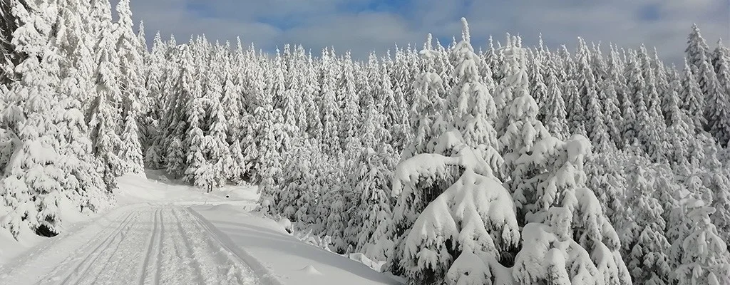 Winterferien 2021 - in diesem Jahr vor allem mit viel Schnee